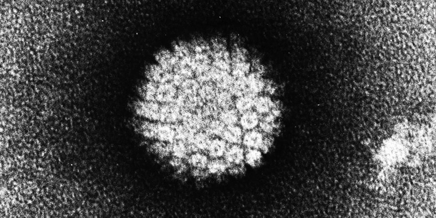 HPV: Přehlížený původce sexuálně přenosné „nemoci“, která zabíjí víc než kapavka